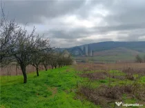 Aroneanu - Dorobant TEREN 46000mp PUZ realizat 59 de case la