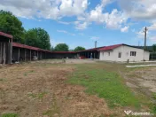 Casa parter si teren in zona Cretesti, Vaslui 
