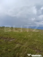 Teren extravilan 1248 mp in Copaceni! Oportunitate investiti