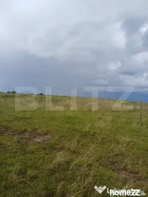 Teren extravilan 1248 mp in Copaceni! Oportunitate investiti