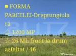 Teren intravilan construibil in Salicea