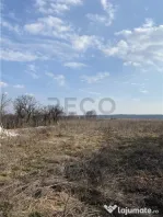 RECO Teren intravilan in Apateu 4200mp