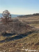 RECO Teren intravilan zona Hanul Pescarilor 1250mp