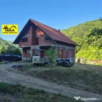 Ilba, casa caramida, 40 ari teren