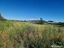 Teren intravilan Piatra Neamt