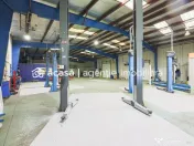 Reprezentanță auto de vânzare – Arad, Zona Industria... 