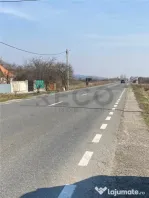 RECO Teren intravilan in Uileacul de Cris 3544mp