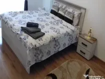2 camere in zona Buziasului