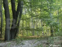 Teren de 524 mp la liziera padurii Faget