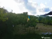 Casa de vanzare cu teren 3100 mp in Breaza de Jos, Prahova 