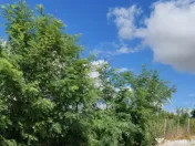 Teren Intravilan de inchiriat 