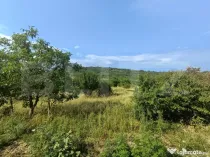 Teren intravilan, de vanzare, 1252 mp, zona Arghires