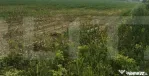 Teren extravilan, 10.800 mp, Cristesti-Botosani