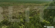 Teren extravilan, 10.800 mp, Cristesti-Botosani