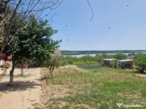 MAHMUDIA-TERENURI SI CASE