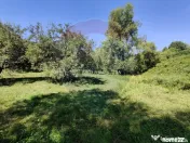 Teren intravilan in Remetea Chioarului 