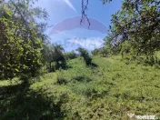 Teren intravilan in Remetea Chioarului 