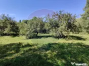 Teren intravilan in Remetea Chioarului