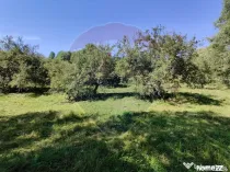 Teren intravilan in Remetea Chioarului