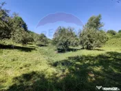 Teren intravilan in Remetea Chioarului