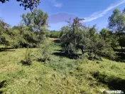 Teren intravilan in Remetea Chioarului