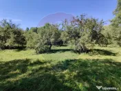 Teren intravilan in Remetea Chioarului 