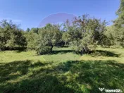 Teren intravilan in Remetea Chioarului 