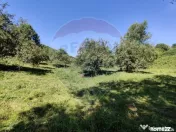 Teren intravilan in Remetea Chioarului 