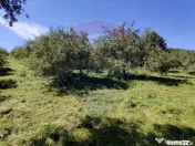 Teren intravilan in Remetea Chioarului 