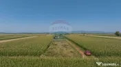 Teren de 1100 mp de vânzare în Stupini 