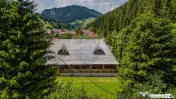 CASA CARAMITRU | POVESTE VIE SI ISTORIE CULTURALA | MOIEC... 