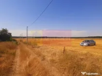 Teren pentru casă/case în Brănești pe strada Toporași
