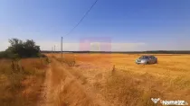 Teren pentru casă/case în Brănești pe strada Toporași