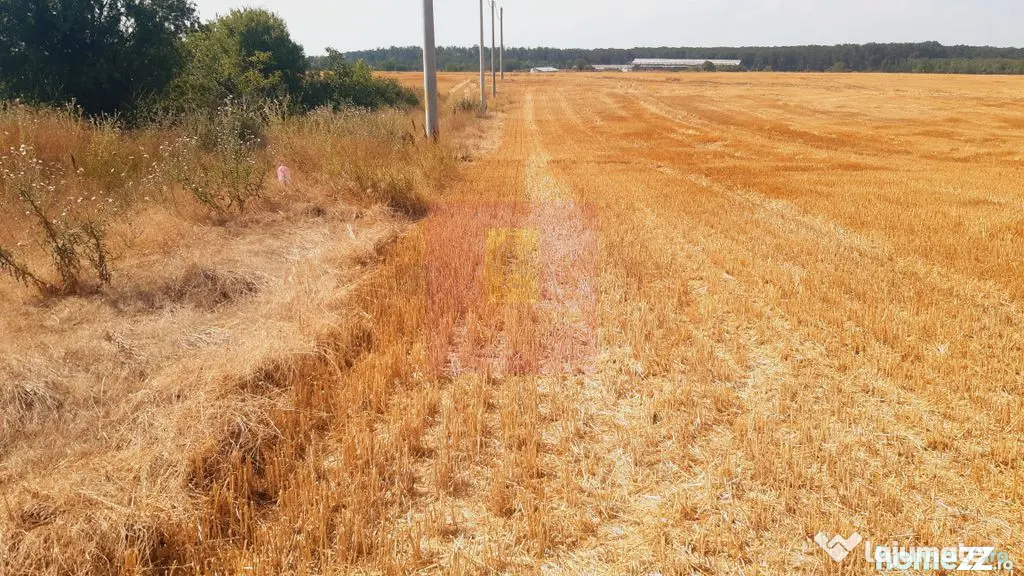 Teren pentru casă/case în Brănești pe strada Toporași