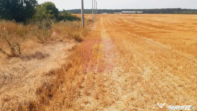 Teren pentru casă/case în Brănești pe strada Toporași
