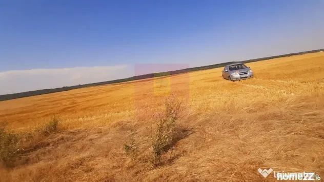 Teren pentru casă/case în Brănești pe strada Toporași