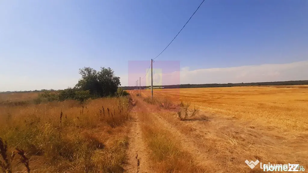 Teren pentru casă/case în Brănești pe strada Toporași
