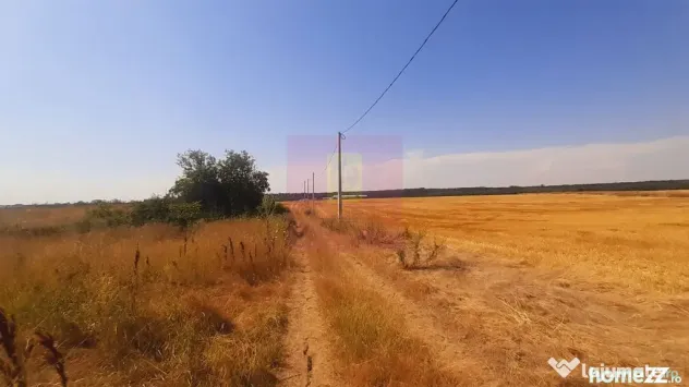 Teren pentru casă/case în Brănești pe strada Toporași