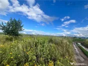 TEREN INTRAVILAN, 500 MP, HARMAN 