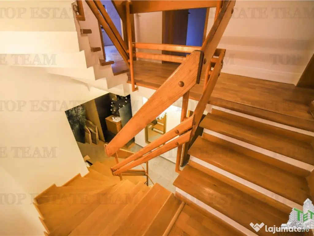 Vila pretabila rezidenta/office Iancu Nicolae