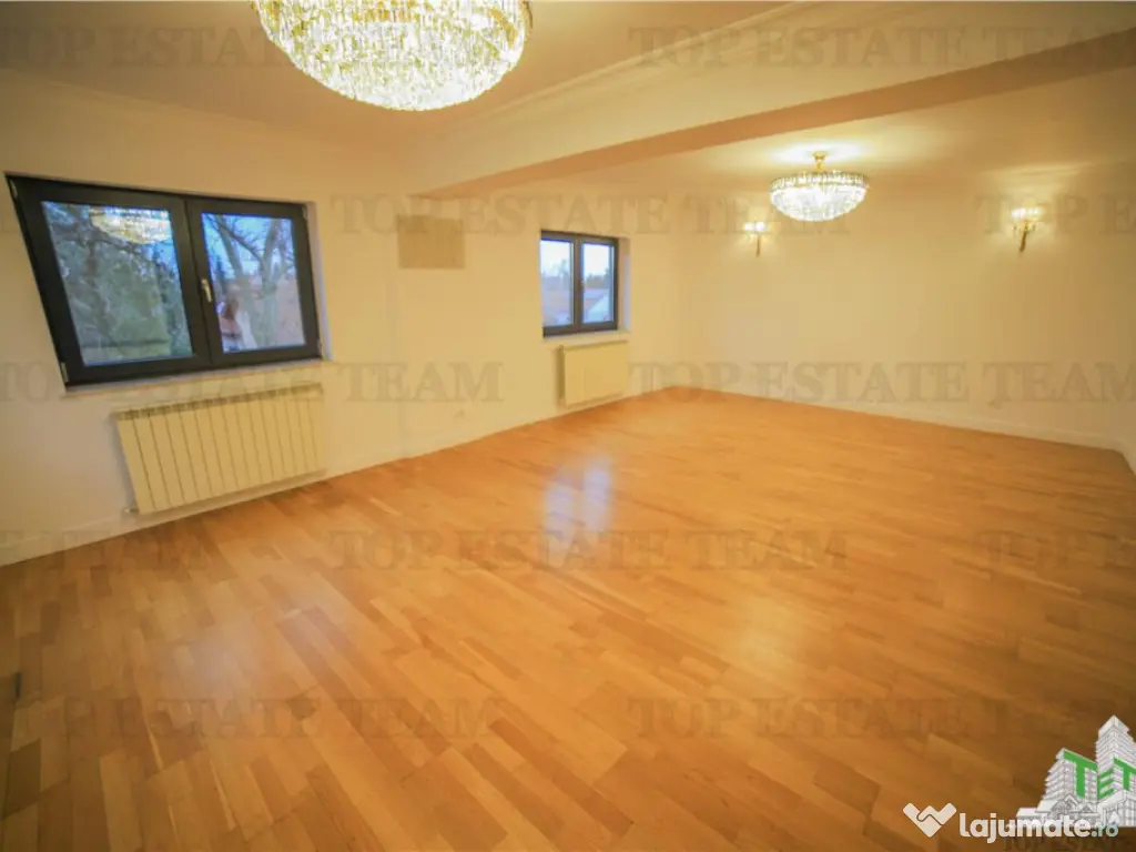 Vila pretabila rezidenta/office Iancu Nicolae