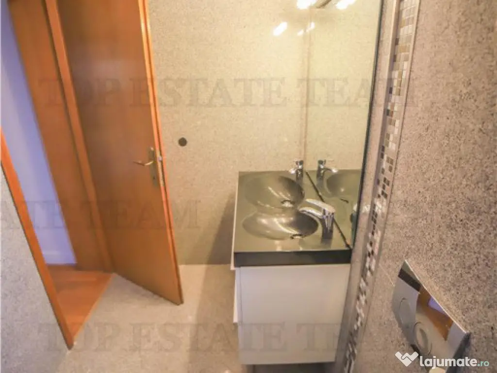 Vila pretabila rezidenta/office Iancu Nicolae