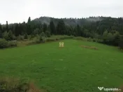 Teren 5023 mp In Bucovina Zona Manastirea Voronet De 07278 