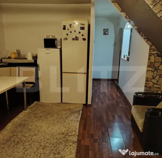 Casa etaj + demisol, 340 mp utili, 350 mp teren, zona Burduj