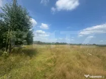 Teren intravilan, 5.041 mp, Horodnic de Jos