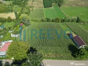 Teren intravilan de vânzare, Sat Bogdănști, Com. Traian 