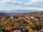 Teren intravilan Campulung – 2.957 mp cu livada, anexa ... 