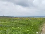 Costinesti teren intravilan 12600 mp distanta de Beach Please 500 m 