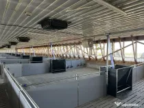 Ferma porcine la cheie