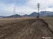 Teren pentru constructii industriale 4.800 mp 